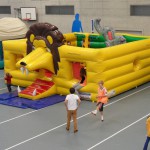 Gumpischloss Lion King Vermietung